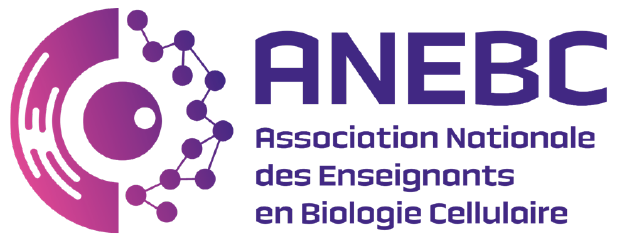 logo_anebc.png